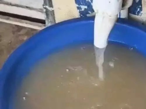 दूषित पानी की सप्लाई, नगर पालिका इलाके में कई बच्चे-बुजुर्ग पड़े बीमार